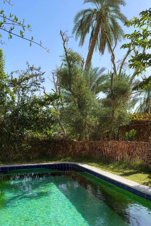 Enjoying a peaceful time by the pool is one of our favourite things to do in Siwa.